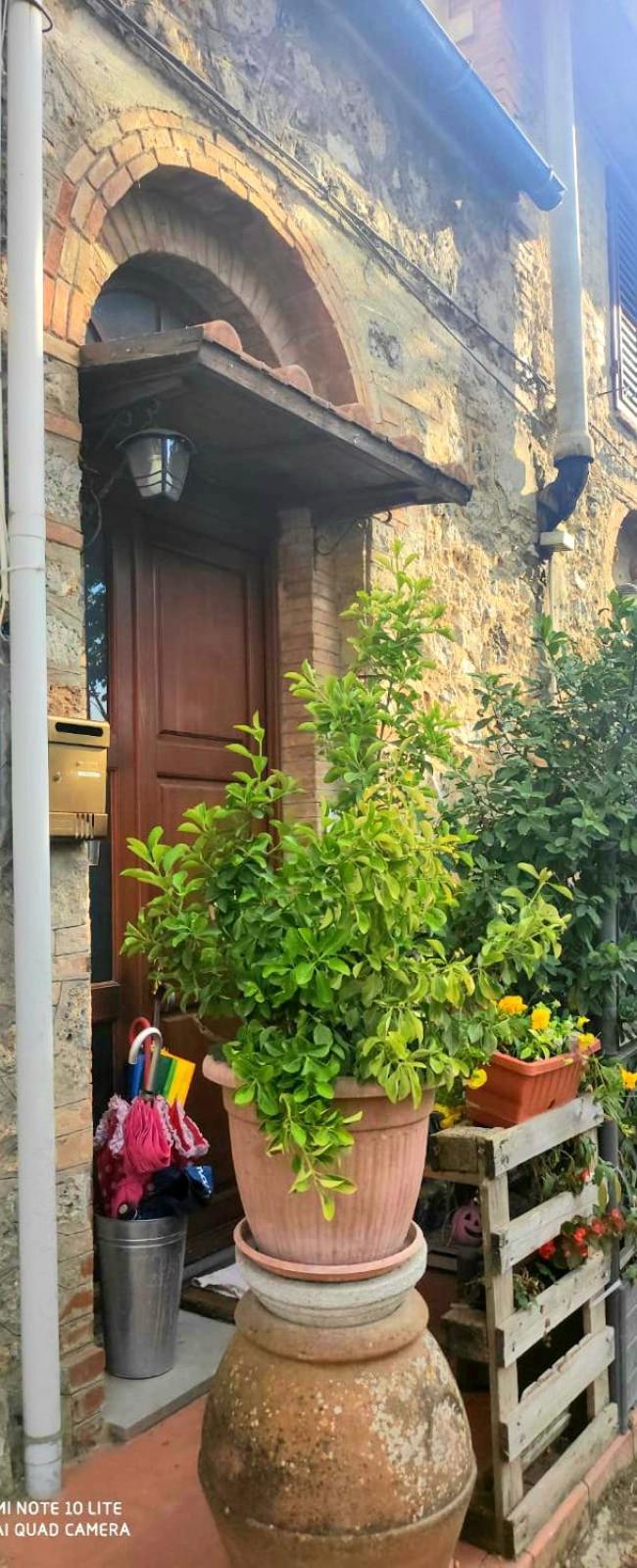 Luca'S Home San Gimignano Zimmer foto